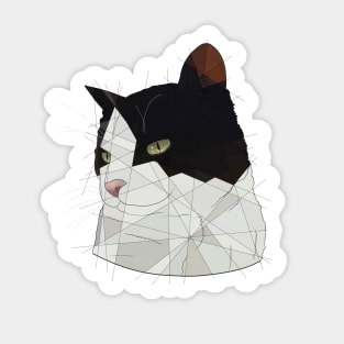 Cloe Sticker